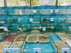 水产区-锦里海景海鲜餐厅.三亚老字号(亚龙湾中心广场店)
