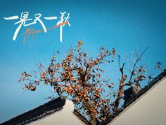 -北寺塔