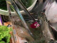-五星桥原切肥牛火锅·30年专注好牛肉(湖塘店)