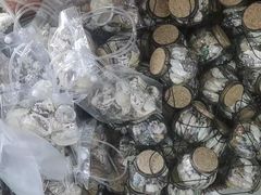 -青岛特产旗舰店·崂山茶