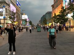 -三禾北京稻香村(北京市百货大楼店)