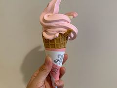 -麦当劳(温州人民路店)