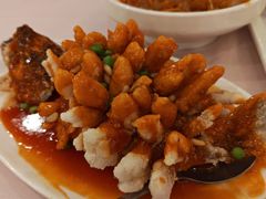 松鼠鲈鱼-顺风海鲜港(金玉兰店)