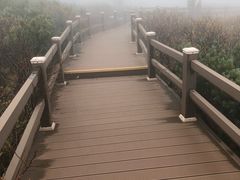 -凤凰山国家森林公园