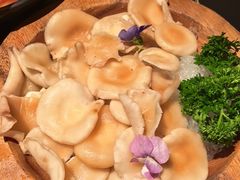 -季季山·云南野生菌火锅(上海首店)