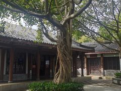-惠州西湖丰渚园