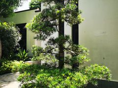 -天悦阁海景酒廊