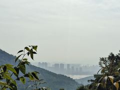 -九曜山