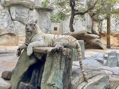 -灵玲国际马戏城