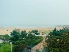 -青岛朗艺美术馆·海景咖啡