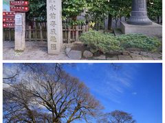-水前寺成趣园