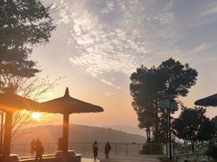 -铁山坪森林公园