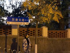 -八大关景区