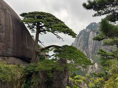 -黄山玉屏楼宾馆餐厅