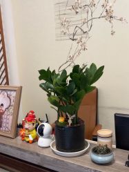 -后宫·古装汉服京剧儿童亲子全家福摄影