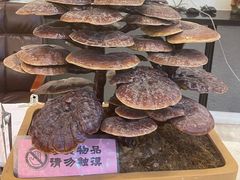 -太子园林酒家