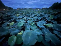 -池州市平天湖风景区