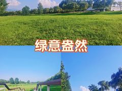 -洨河生态公园
