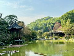 -云溪植物园