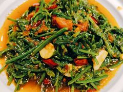 -银生食府·普洱菜(金星店)