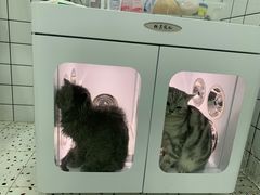 -BABIT巴比特宠物(MOMOPARK店)