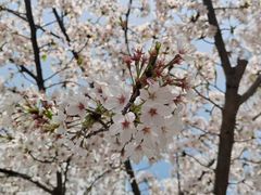 -青岛大学(金家岭校区)