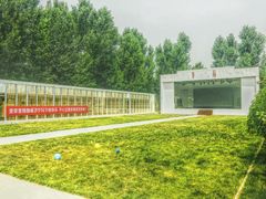 -午后庭院