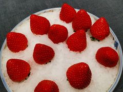 -怡情荟•海鲜青岛菜(五四广场旗舰店)