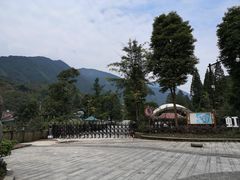 -虹口漂流
