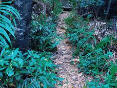 -梧桐山风景名胜区