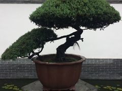 -水绘园