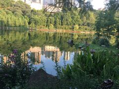 -重庆彩云湖湿地公园
