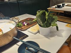 -椰子湾·海南火锅·糟粕醋·椰子鸡(正大广场店)