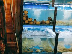 水产区-老东镇啤酒屋海鲜加工·蒸汽海鲜·海鲜烧烤(台东店)