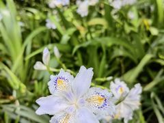 -上海滨江森林公园