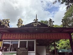 -野象谷景区