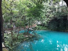 -之江大学-旧址