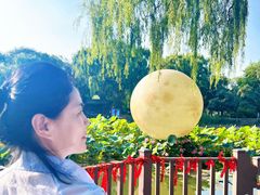 -北陵公园