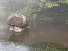 -梧桐山风景名胜区