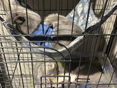 -第三空间·趣味桌游·轰趴.室内CS.剧本杀(大武汉1911店)