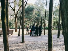 -汇龙潭