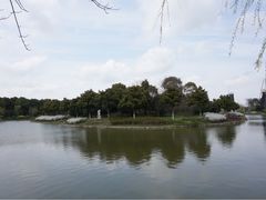 上海鲜花港-上海鲜花港