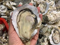 -蚝抵食·湛江生蚝(湾北路店)