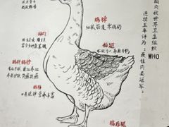 -春梅里卤鹅馆·47年老字号(中山路店)