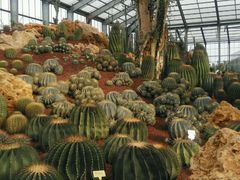 -南通洲际绿博园