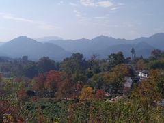 -塔川景区