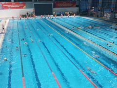 -南山文体中心-游泳馆