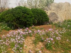 -天津东丽湖风景区