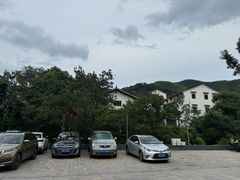 -紫藤园·天目湖大鱼头(南山竹海店)