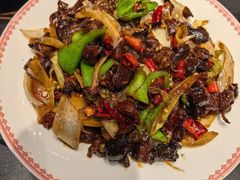 -鼎原力量东北吊炉烧烤(临河街店)